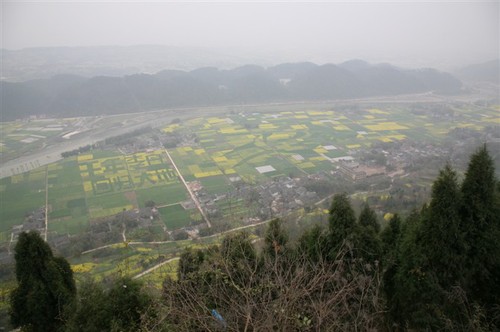读书台